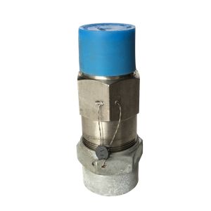 [Non Returnable] 5344-225 Henry Relief Valve, Stainless Steel Straight-Thru Type 1