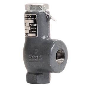 Cyrus Shank 800D-125 Safety Relief Valve, 1/2