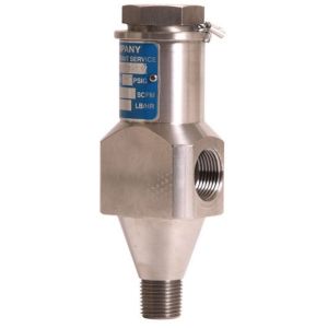 Cyrus Shank 800SS-400 Safety Relief Valve , 1/2