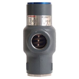 Cyrus Shank 901D-225 Safety Relief Valve, 1 1/4