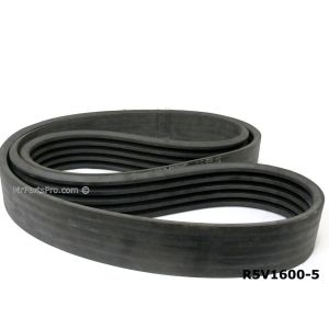 R5V1600-5 5 Band Molded Belt