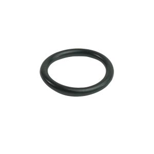 Regal Chlorinator O-ring  (7124) S-405